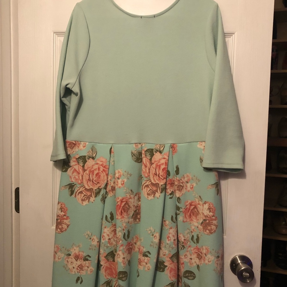 Mint Green/Pink Floral Dress